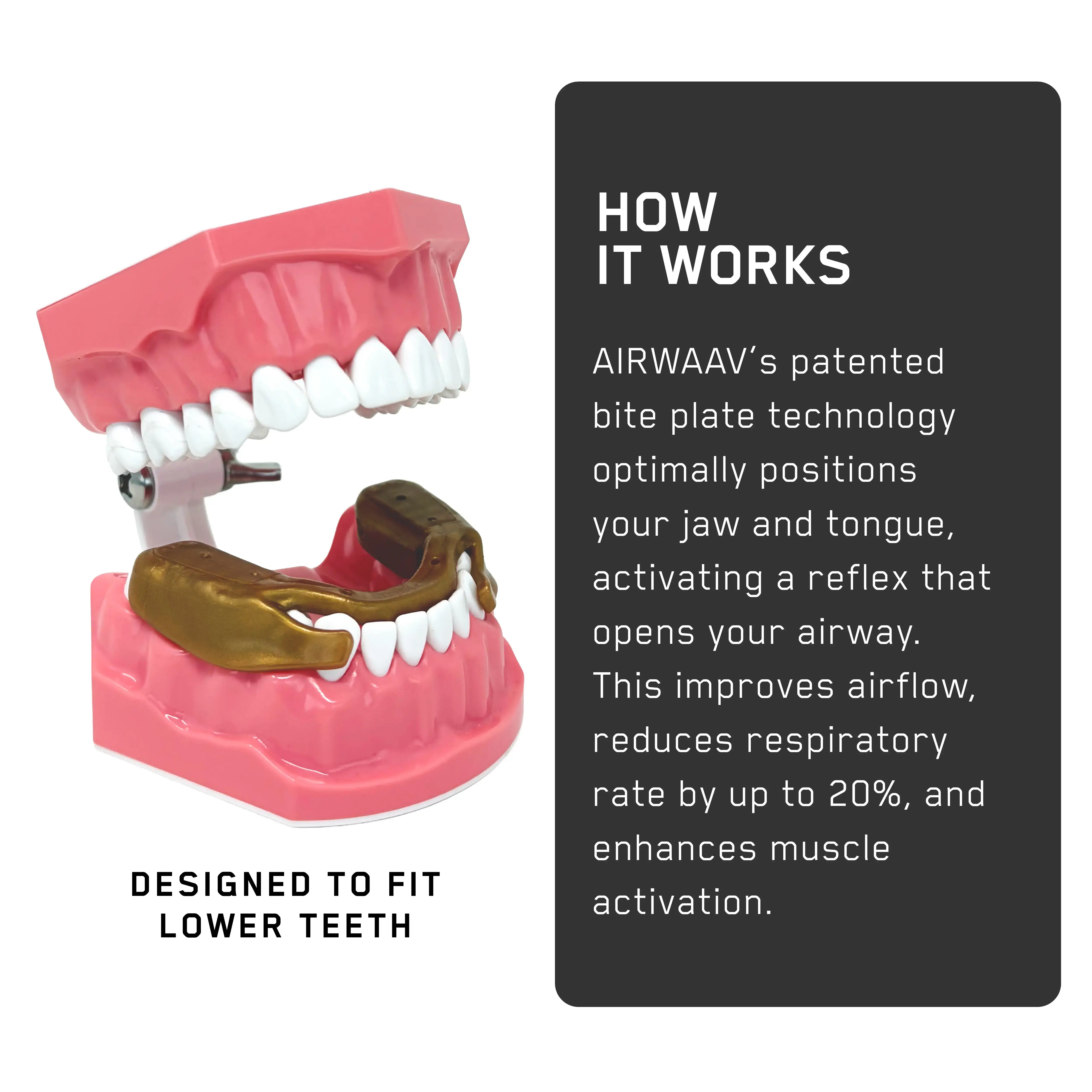 AIRWAAV Performance Hybrid Pack - Mitchell Hooper Gold Edition